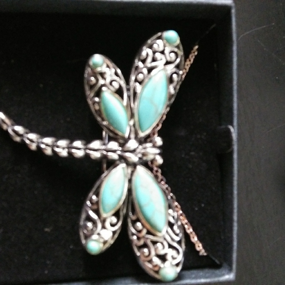 Drangon fly necklace and pen